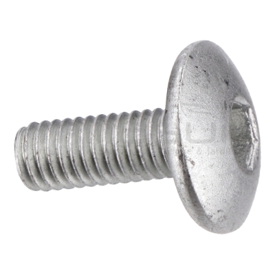 TORNILLO M6 TAPA POLEA MOTOR TC98S (16 12) - motoscamaralweb.com