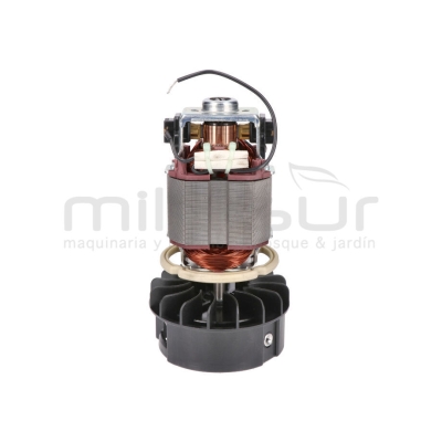 MOTOR ELECTRICO TE450 (114) - motoscamaralweb.com