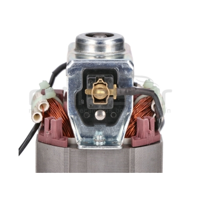 MOTOR ELECTRICO TE450 (114) - motoscamaralweb.com