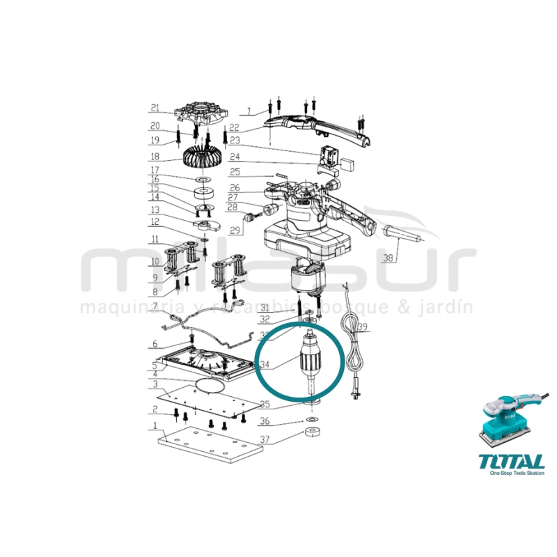 BOBINADO MOTOR LIJADORA TF1301826 - motoscamaralweb.com