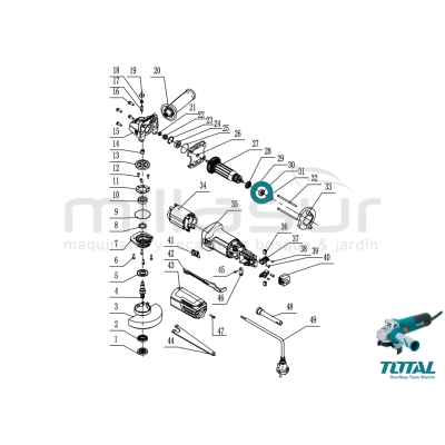 RODAMIENTO MOTOR AMOLADORA TG1091156 - motoscamaralweb.com