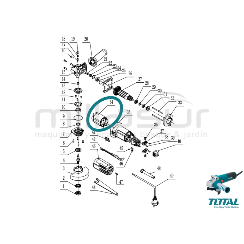 ESTATOR AMOLADORA TG1091156 - motoscamaralweb.com