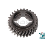 PIÑON INTERNO 27 DIENTES MARTILLO TH110286 - motoscamaralweb.com