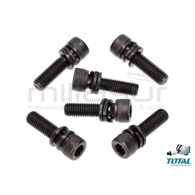SET 6 TORNILLOS BLOQUEO PORTA-CINCEL TH215456 - motoscamaralweb.com