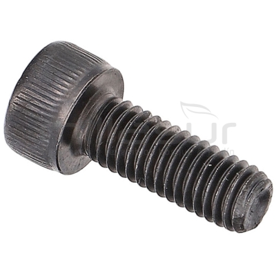 TORNILLO TRINQUETE TPB2202 (10) - motoscamaralweb.com