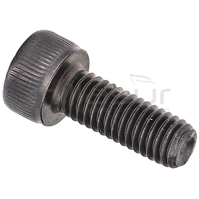 TORNILLO TRINQUETE TPB2202 (10) - motoscamaralweb.com