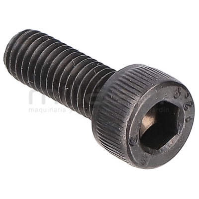 TORNILLO TRINQUETE TPB2202 (10) - motoscamaralweb.com