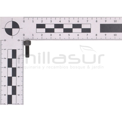 TORNILLO TRINQUETE TPB2202 (10) - motoscamaralweb.com