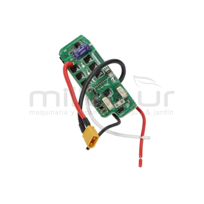 PLACA BATERIA CARGA TPB2202 (28) - motoscamaralweb.com