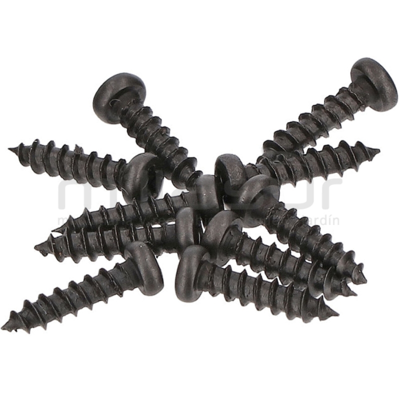 JUEGO DE 10 TORNILLOS AMARRE CARCASAS TPB2202 (34) - motoscamaralweb.com