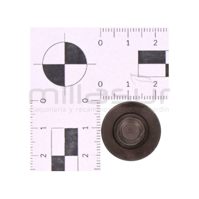 TORNILLO AMARRE CUCHILLAS TPB2502 (01) - motoscamaralweb.com