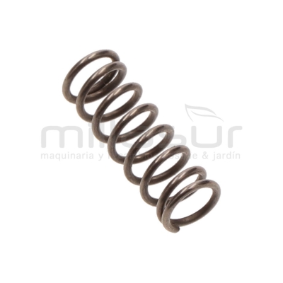 MUELLE GATILLO TPB2502 (30) - motoscamaralweb.com