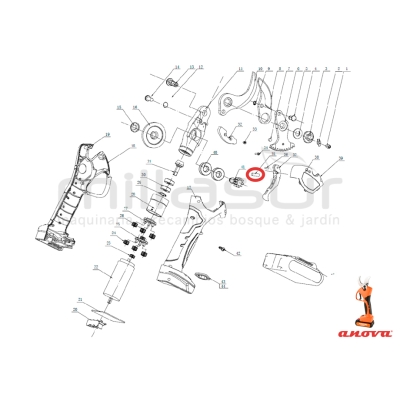 MUELLE GATILLO TPB3002 (27) TPB3003 (35) - motoscamaralweb.com