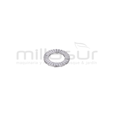 ARANDELA PASADOR BIELA CUCHILLAS TPB4503 (8) - motoscamaralweb.com