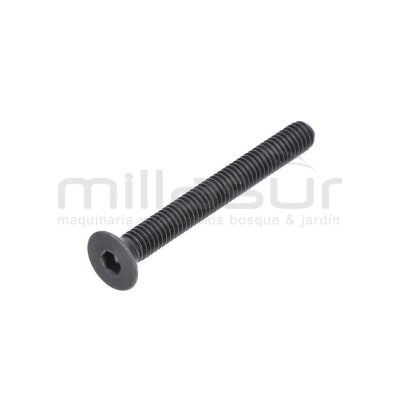TORNILLO SUJECION EJE PIÑONES TPB4600 (39) - motoscamaralweb.com