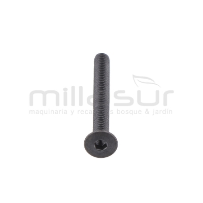 TORNILLO SUJECION EJE PIÑONES TPB4600 (39) - motoscamaralweb.com