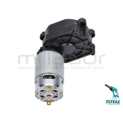 MOTOR ELÉCTRICO TPWLI20084 (6) - motoscamaralweb.com