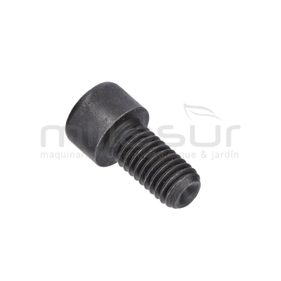 TORNILLO APRIETE DISCO SIERRA INGLETADORA TS42142101 ( 65) - motoscamaralweb.com
