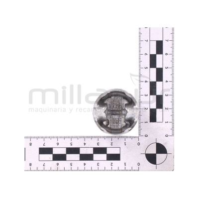 PISTÓN VAREADORA VAR26C (21) - motoscamaralweb.com