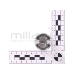 PISTÓN VAREADORA VAR26C (21) - motoscamaralweb.com