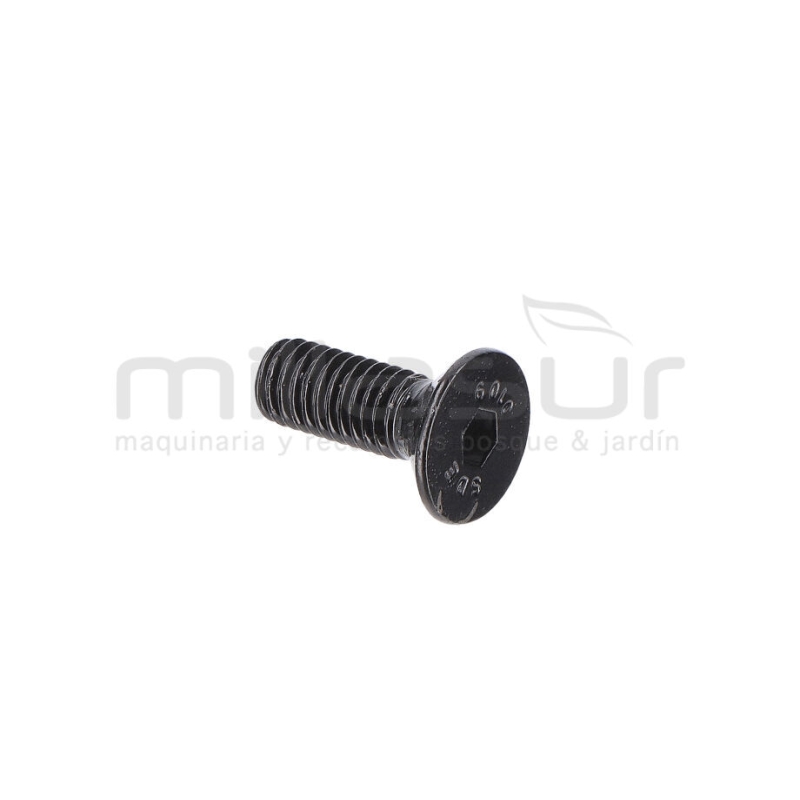 TORNILLO TAPA MOTOR M5X14 (2) - motoscamaralweb.com