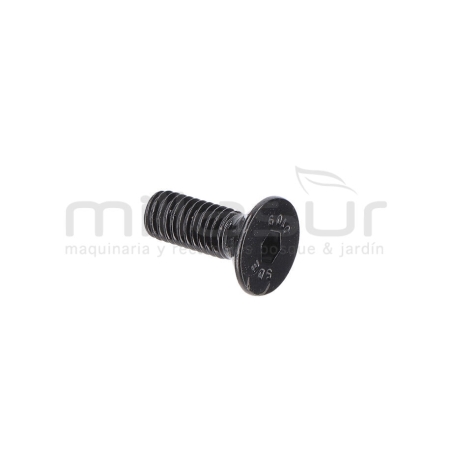 TORNILLO TAPA MOTOR M5X14 (2) - motoscamaralweb.com