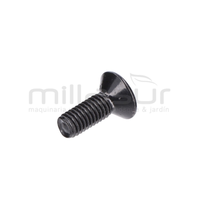 TORNILLO TAPA MOTOR M5X14 (2) - motoscamaralweb.com
