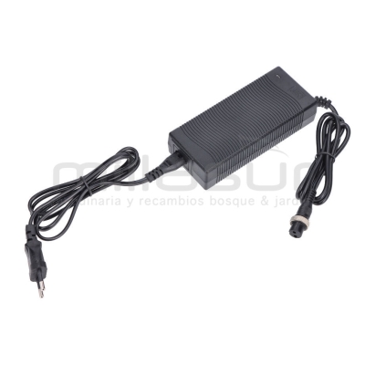 CARGADOR VAR300B 240V-2.5A 50/60hz - motoscamaralweb.com