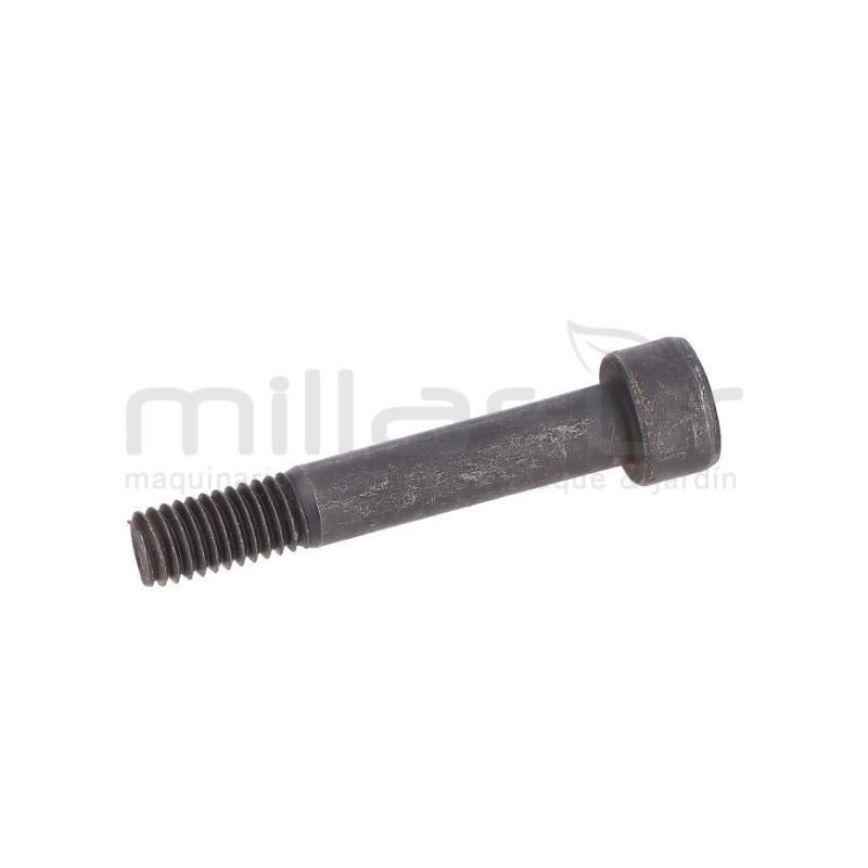 TORNILLO HEXAGONAL M5x30 PEINE VAREADORA VAR370 (20) - motoscamaralweb.com