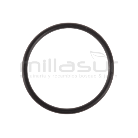 JUNTA TORICA BASE MOTOR 5.34X57 VAR600 (18) - motoscamaralweb.com