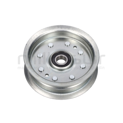 POLEA TENSORA ZT107H (C38) - motoscamaralweb.com