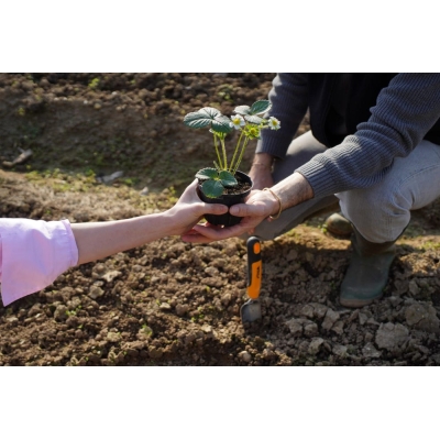 STIGA Cultivating hand tool Pala para trasplantar - motoscamaralweb.com