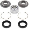 Kit rodamientos inferiores de amortiguador ALL BALLS 29-5027 - motoscamaralweb.com