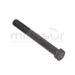 TORNILLO SUJECCION EMBRAGUE MOTOR TC86M. TC92H. TC98LH (14). TC108LH(15) - motoscamaralweb.com