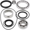 Kit ALL BALLS de rodamientos y retenes del diferencial trasero Yamaha YFM - motoscamaralweb.com