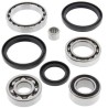 Kit ALL BALLS de rodamientos y retenes del diferencial delantero Arctic Cat/Kymco - motoscamaralweb.com