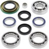 Kit ALL BALLS de rodamientos y retenes del diferencial trasero Can Am - motoscamaralweb.com