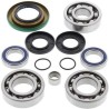 Kit ALL BALLS de rodamientos y retenes del diferencial delantero Can Am - motoscamaralweb.com
