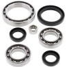 Kit ALL BALLS de rodamientos y retenes del diferencial delantero Yamaha - motoscamaralweb.com