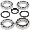 Kit ALL BALLS de rodamientos y retenes del diferencial delantero Polaris - motoscamaralweb.com