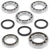 Kit ALL BALLS de rodamientos y retenes del diferencial delantero Polaris RZR 800 - motoscamaralweb.com