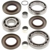 Kit ALL BALLS de rodamientos y retenes del diferencial trasero Polaris Sportsman - motoscamaralweb.com