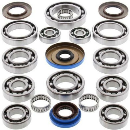 Kit ALL BALLS de rodamientos y retenes del diferencial trasero Polaris - motoscamaralweb.com
