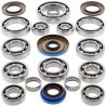 Kit ALL BALLS de rodamientos y retenes del diferencial trasero Polaris - motoscamaralweb.com
