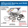 Kit ALL BALLS de rodamientos y retenes del diferencia Can-Am - motoscamaralweb.com