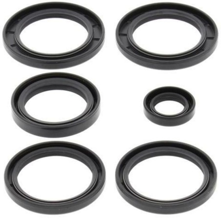 Kit ALL BALLS de retenes del diferencial - motoscamaralweb.com
