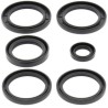 Kit ALL BALLS de retenes del diferencial - motoscamaralweb.com
