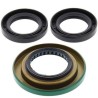 Kit ALL BALLS de retenes del diferencial - motoscamaralweb.com