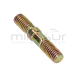 ESPÁRRAGOS CADENA MG6018 - motoscamaralweb.com