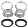 Kit rodamientos de columna de dirección ALL BALLS - 22-1002 - motoscamaralweb.com